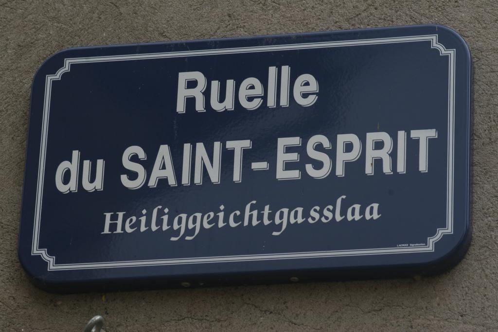 Gite Duplex Du Vignoble Alsace روفاك المظهر الخارجي الصورة