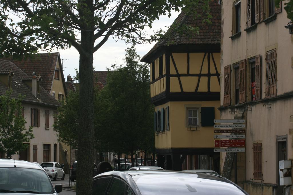 Gite Duplex Du Vignoble Alsace روفاك المظهر الخارجي الصورة