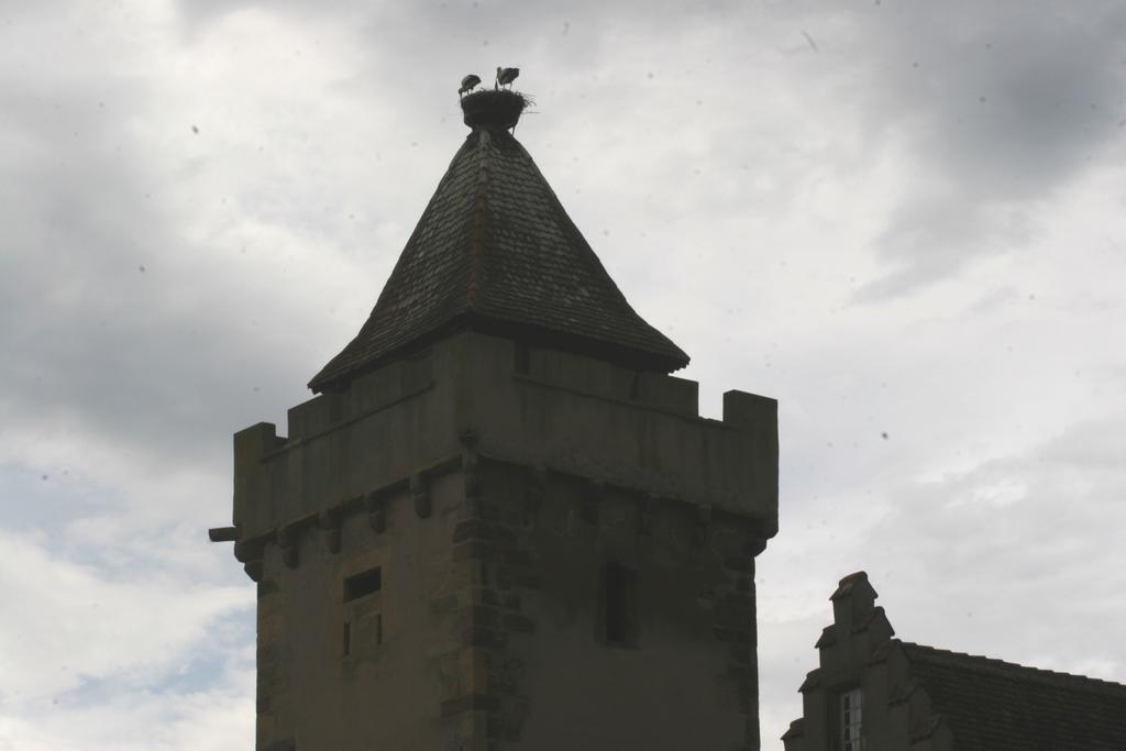 Gite Duplex Du Vignoble Alsace روفاك المظهر الخارجي الصورة
